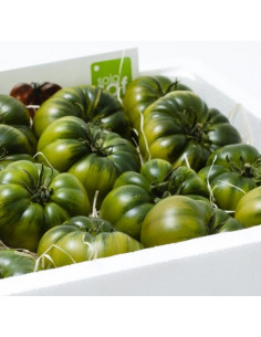 Comprar Tomate Raf