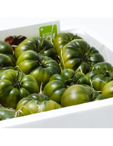 Comprar Tomate Raf Comprar Tomate Raf