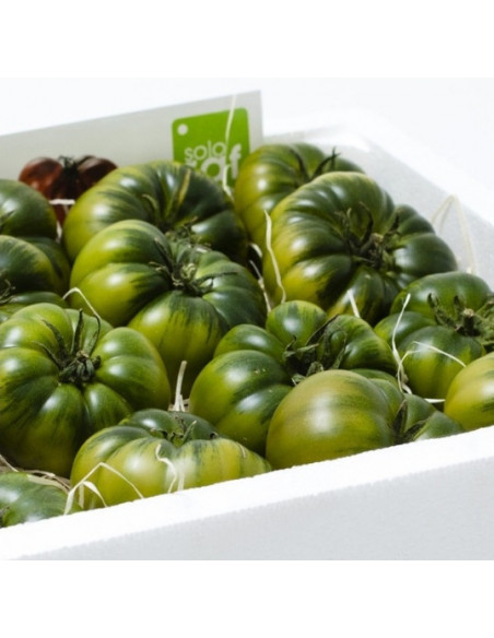 Comprar Tomate Raf Comprar Tomate Raf