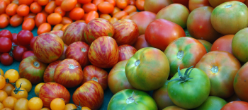 Licopeno y Tomate Raf, una fuente natural. 