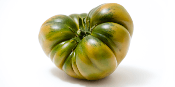 ¿Dónde comprar tomate Raf?